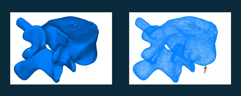 Реверс органических форм. Модель Bone.stl (Artec3D) — скан кости